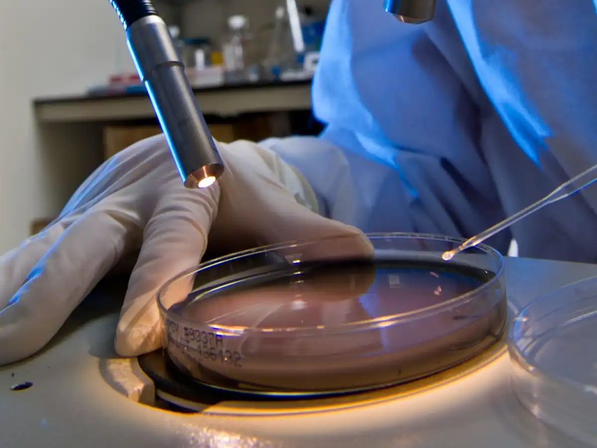 Wearcheck Water: Advanced Legionella testing